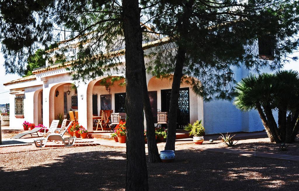 Casa Del Artista Bed & Breakfast Elche Exterior photo